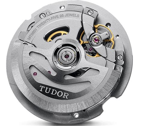 tudor mt5602 erfahrungen